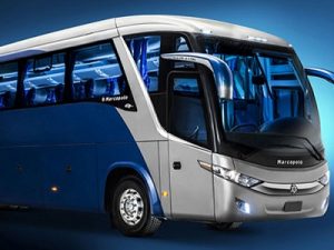 Brazil Shore Excursions