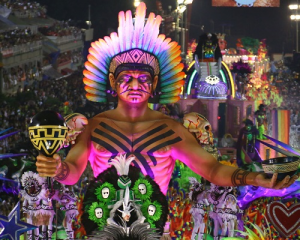 rio carnival packages