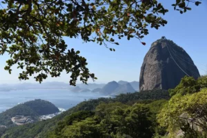Rio Half-Day Private Tour
