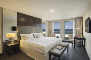 Carnival Windsor California Package
