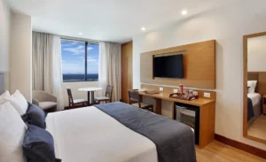 Carnival Windsor Excelsior Package