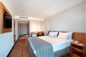 Windsor Palace Carnival Package